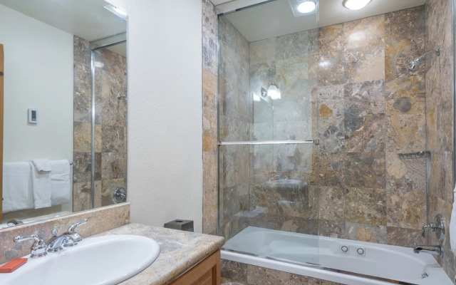 Bear Creek Lodge 301a 1 Bedroom Condo by Alpine Lodging Telluride
