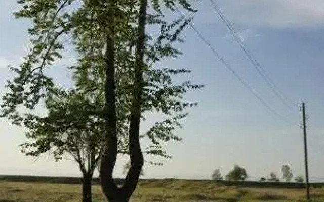 Гостевой Дом Надежда