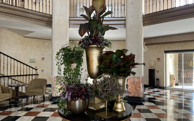 Healthouse Apartments