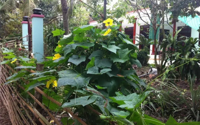 Nghiep Homestay