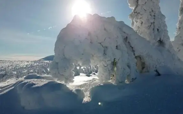 Stodola Harrachov