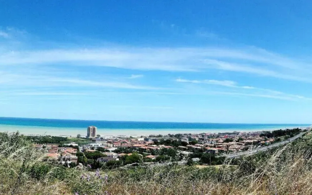 BB Fermo dA Mare