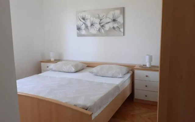 Apartment Viki