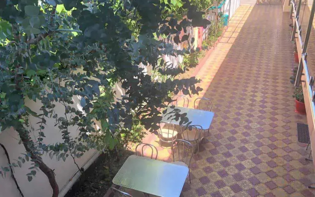 Дельфинчик