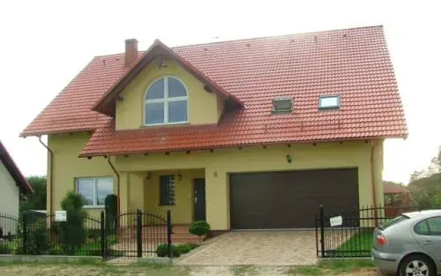 Forsycja