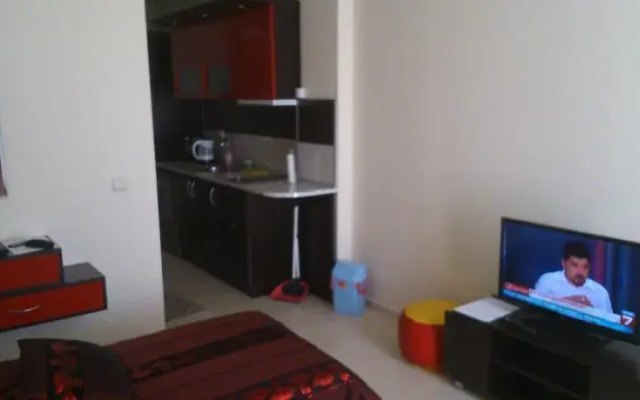 Iva Studio