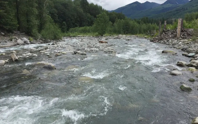 Mt. Baker Lodging Cabin 65 (Sleeps 10)