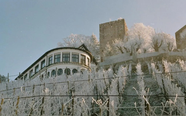 Burg Windeck ***S