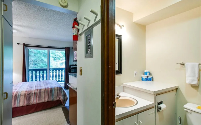 Snowline Lodge Condo #9