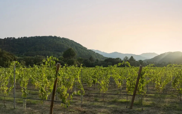 Rondaia Boutique Vineyard Stay – Mallorca, Tramuntana