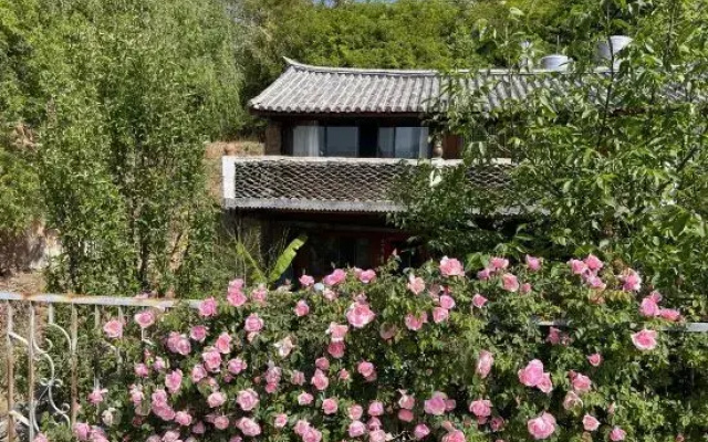 Up Air Guest house