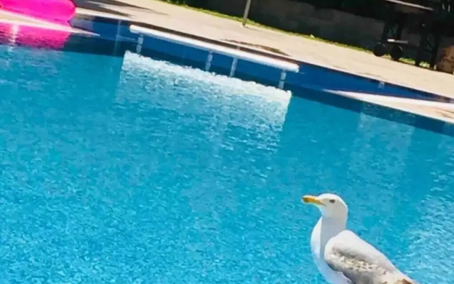 Luxury Apartment in Balkan Breeze 7 in Sunny Beach