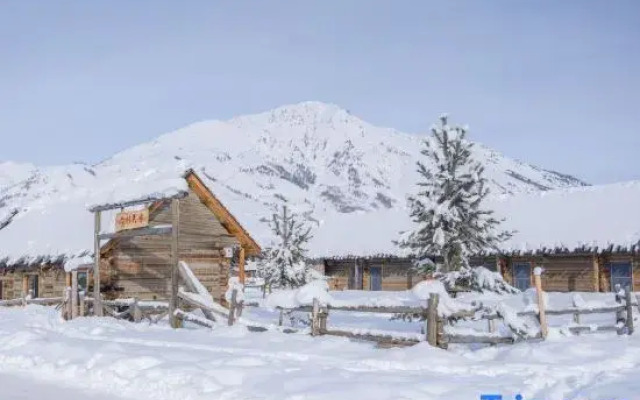 Hemu Fir Homestay