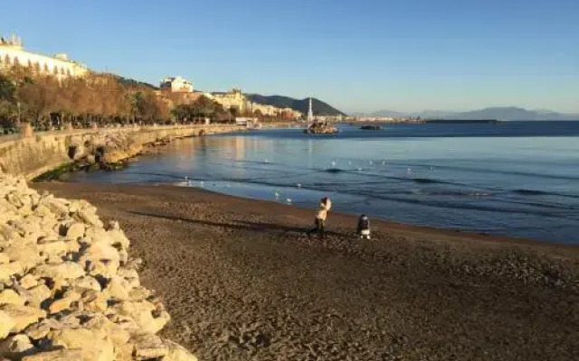 Salerno 55