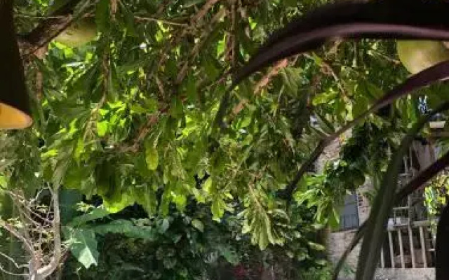 Pousada São Pedro