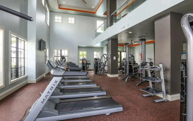 Amli Doral