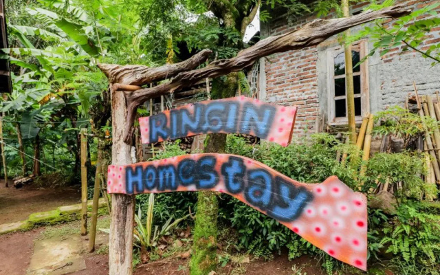 Ringin Guesthouse