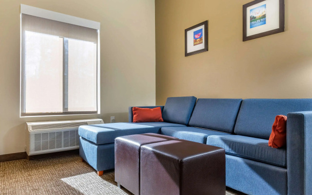 Comfort Suites Greensboro - High Point