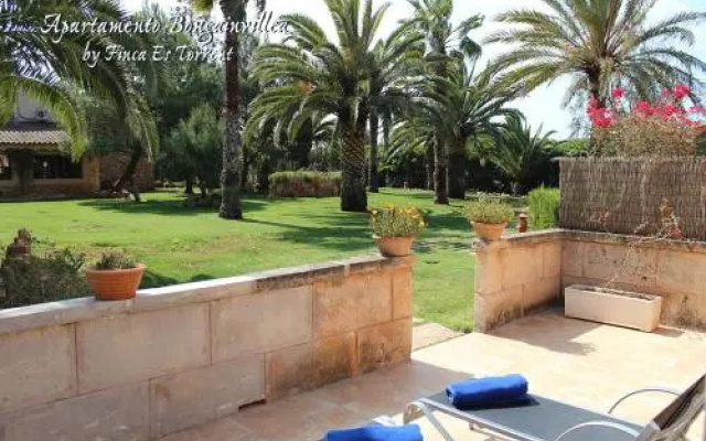 Apartment Bougaivillea by Finca Es Torrent