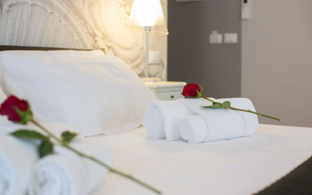 Ara Suite