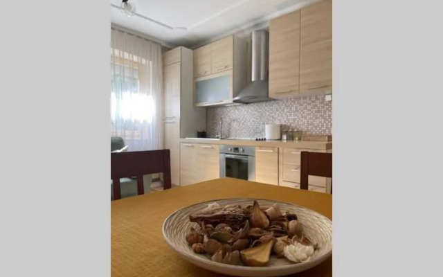 Cozy apartment in the center of Prishtina