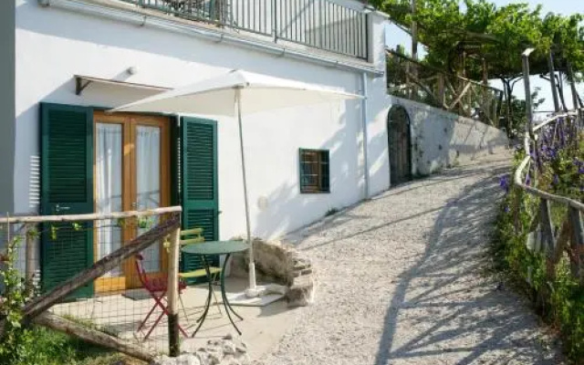 Sopra il Limoneto