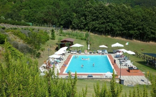 Vigneto Rimaggio