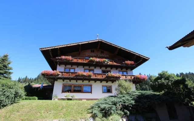 Cozy Apartment in Hollersbach im Pinzgau With Balcony