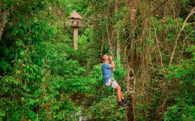 Jungle Explorer Lodge