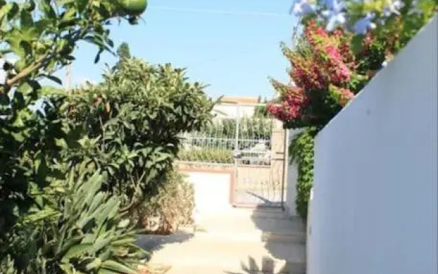 CIURIDIBONAGIA2