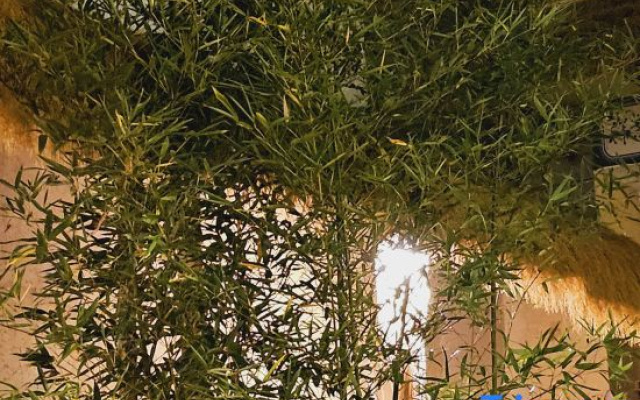 Yuanyuan Na's Garden Homestay (Dali Ancient City Branch)