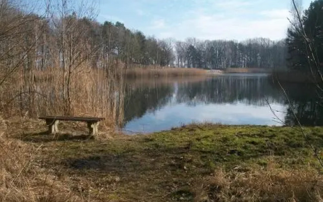 Domek Anna