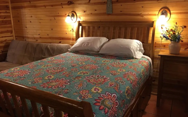 Frio Springs Lodges