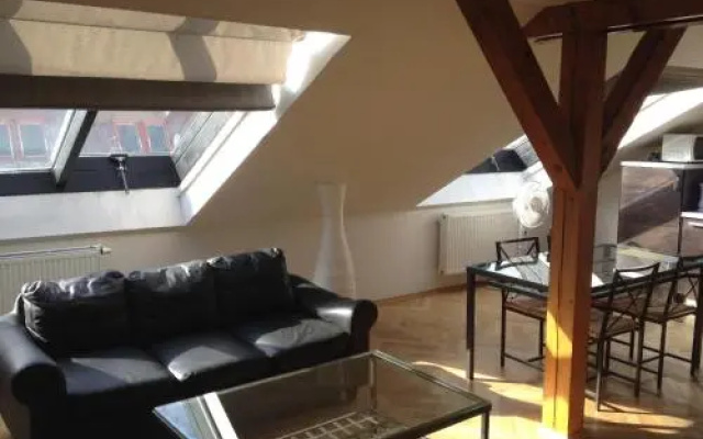 Penthouse Apartment in Vinohrady