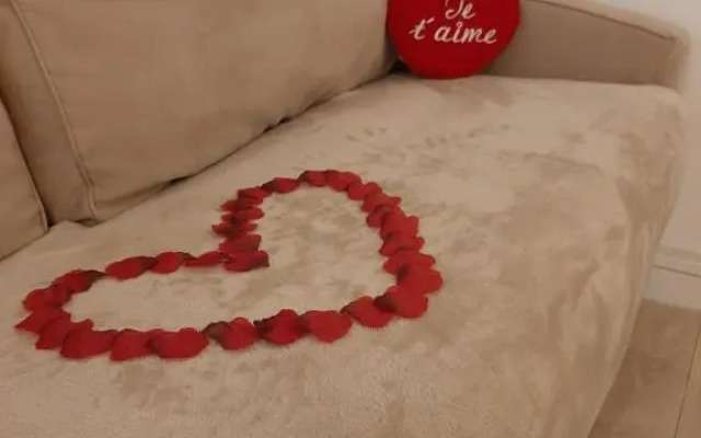 Love Room,Jacuzzi Privatif, NETFLIX