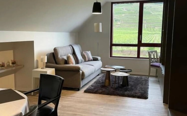 Les Appartements du Vignoble