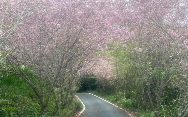 山旅民宿