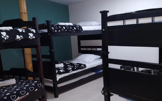 Hostal Girasoles