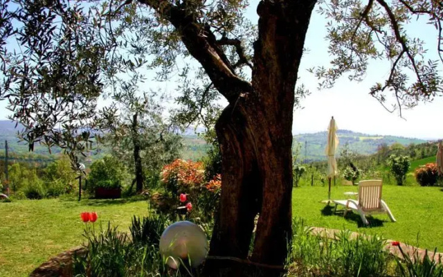 Bed and Breakfast di Montenero