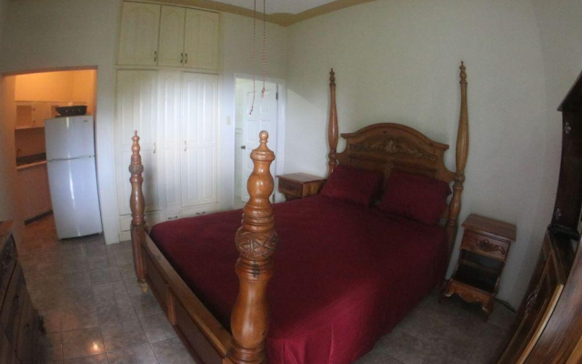 8 BR Waterfront Villa - Ocho Rios