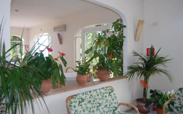 Hotel Belvedere