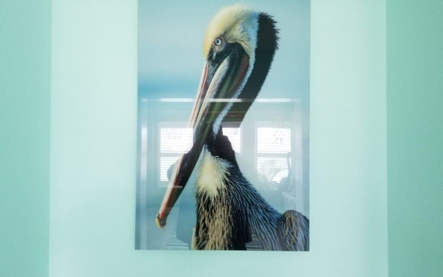 Rusty Pelican Home