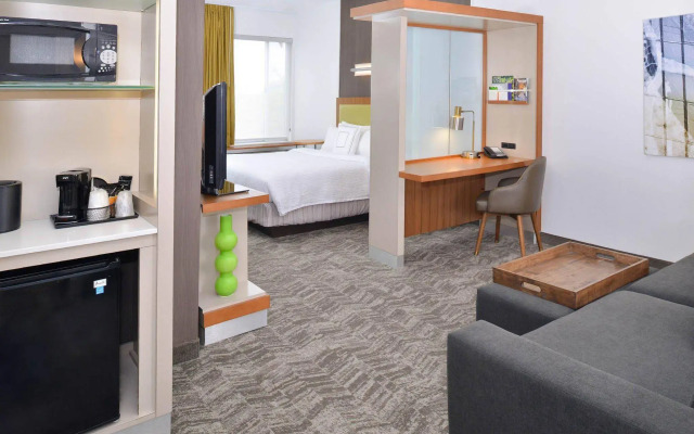 SpringHill Suites by Marriott Ashburn Dulles North