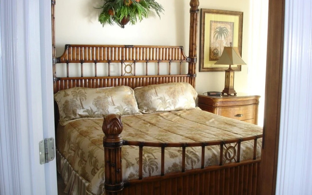 Colonnades 502