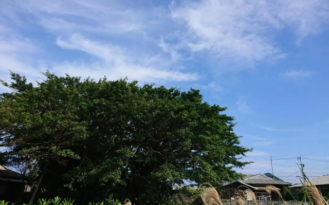 match guest house