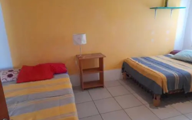 Bonobo Surf House
