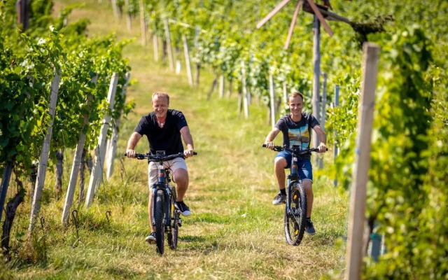 Weingut Gästehaus Otmar Birnstingl