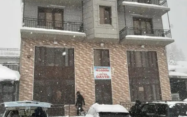 hotel david goderdzi