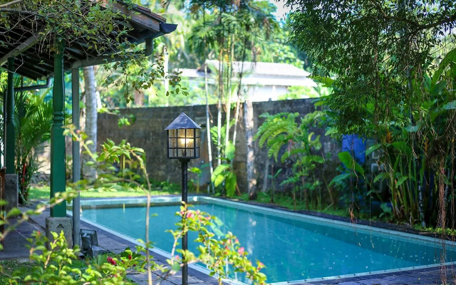 The Fern Cove Villa