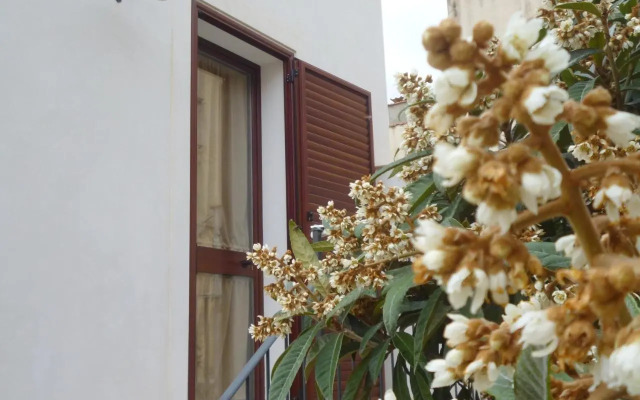 Casa Vacanza Custonaci